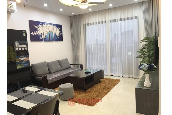 Vinhomes DCapitale Apartment for Rent 2 Bedroom Furnished Lovely Views